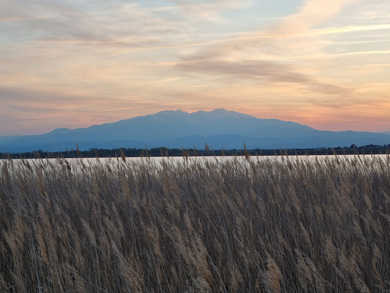 Vue du Mont Canigou